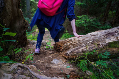 Low section of man standing in forest