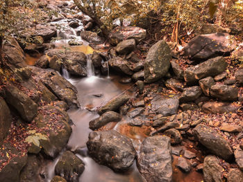 River flowing through rocks in forest