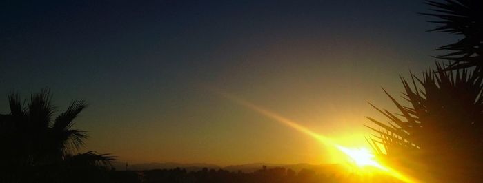 Silhouette of trees at sunset