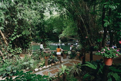 Scenic view of lake in forest