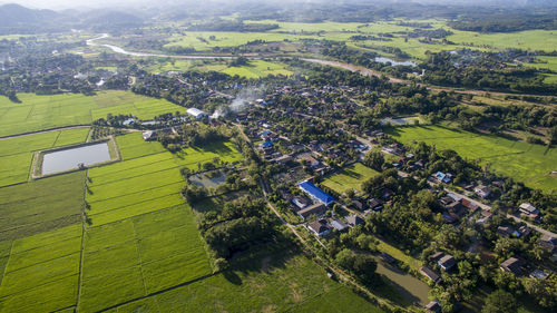 High angle view of agricultural field and houses