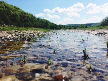 Scenic view of lake against sky