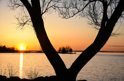 Silhouette bare tree by lake against sky during sunset