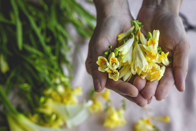 Close-up of hand holding flower bouquet
