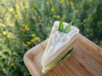 Close-up of white rose on table