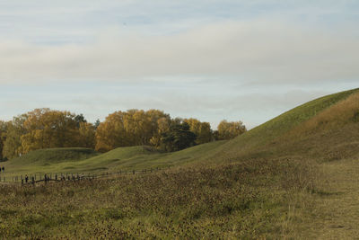 Scenic view of grassy field against sky