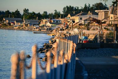 Fence by birch bay against houses