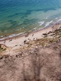 High angle view of birds on beach