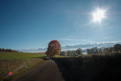 Road amidst trees on field against sky