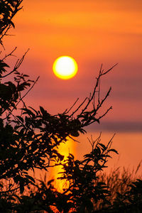 Scenic view of sunset