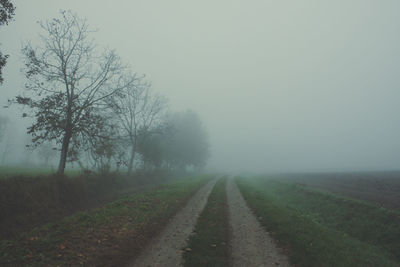 Road amidst trees on field against sky during foggy weather