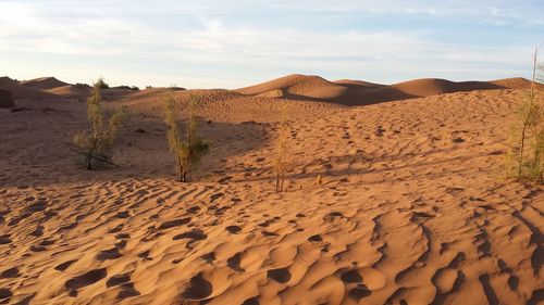 Sand dunes in desert against sky