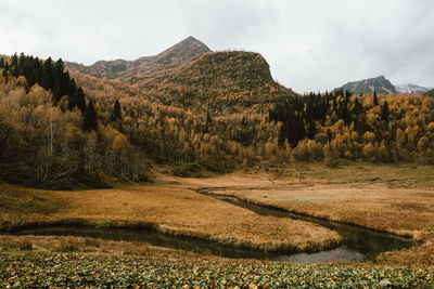 Scenic view of landscape against sky