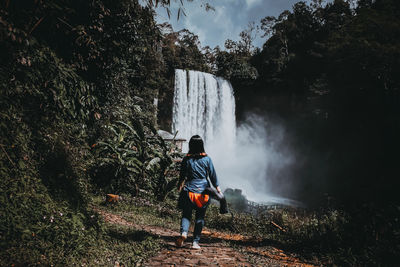 Rear view of woman walking against waterfall in forest