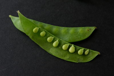 Close-up of green leaf on table against black background