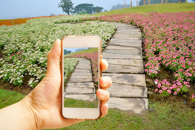 Midsection of man using mobile phone in grass