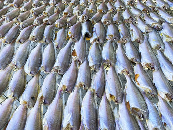 Full frame shot of fish for sale in market