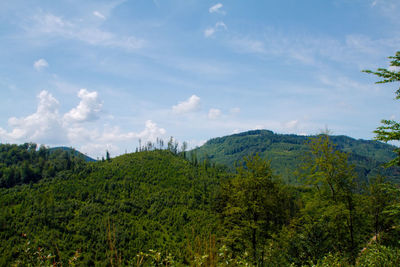 Scenic view of trees and mountains against sky