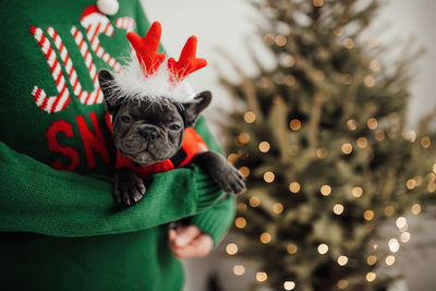 Midsection of woman with dog