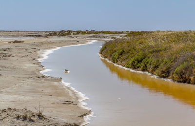 Scenic view of beach against clear sky