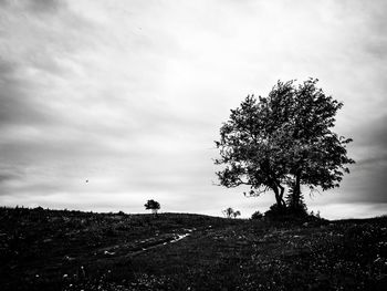 Scenic view of grassy field against cloudy sky