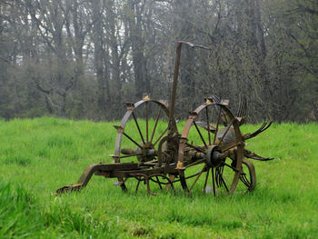 Horse cart in a field