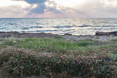 Scenic view of sea against sky