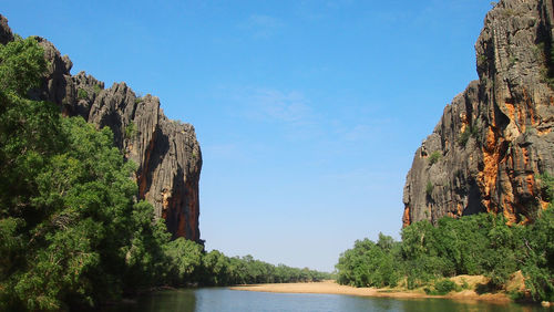Scenic view of river amidst trees against clear blue sky