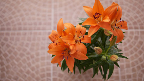 High angle view of orange flowering plant in vase