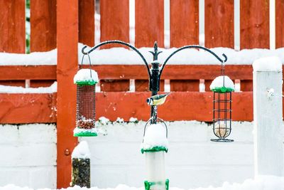 Close-up of bird on lantern hanging on brick wall