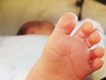Close-up of person holding hands