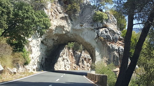 Country road along trees