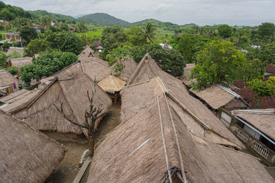 Trees and houses