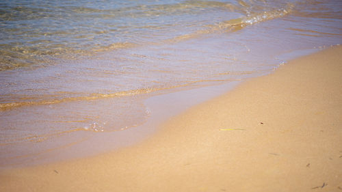 High angle view of beach