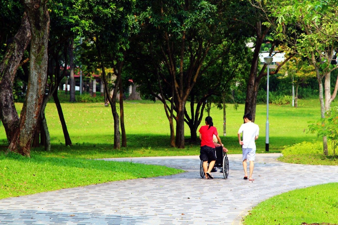 full length, rear view, walking, person, tree, lifestyles, men, leisure activity, grass, casual clothing, togetherness, the way forward, footpath, park - man made space, green color, street, bonding