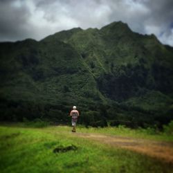 Rear view of man standing on mountain