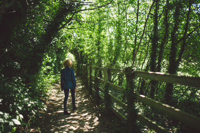 Rear view of girl walking in forest