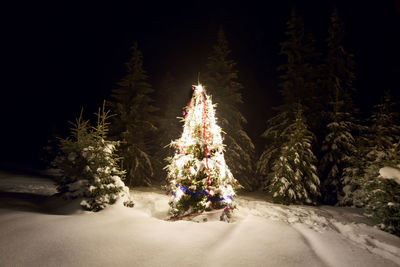 Illuminated christmas tree on snowy landscape christmas tree