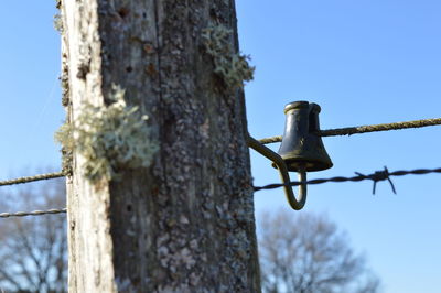 Low angle view of bird perching on tree against sky