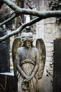 Close-up of angel statue in cemetery