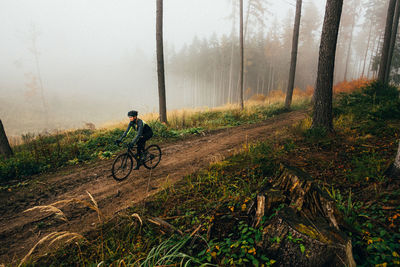 Man riding bicycle in forest