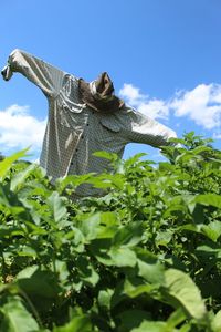 Scarecrow by plants against sky