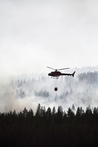 Helicopter dumping water on forest fire