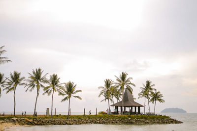 Palm trees on beach against sky