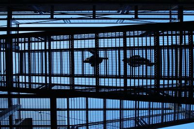 View of bird in cage