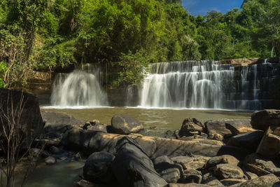 Scenic view of waterfall in forest