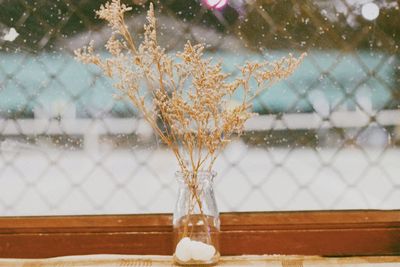 Close-up of vase on window sill