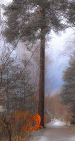 Road passing through forest