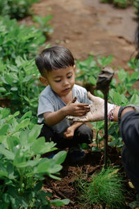 Planting for mother earth