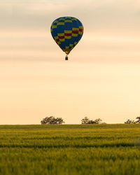 Hot air balloons flying over field against sky during sunset